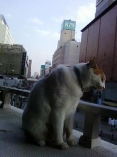 ����l�l�ɂ����킳���͔̂��܂�